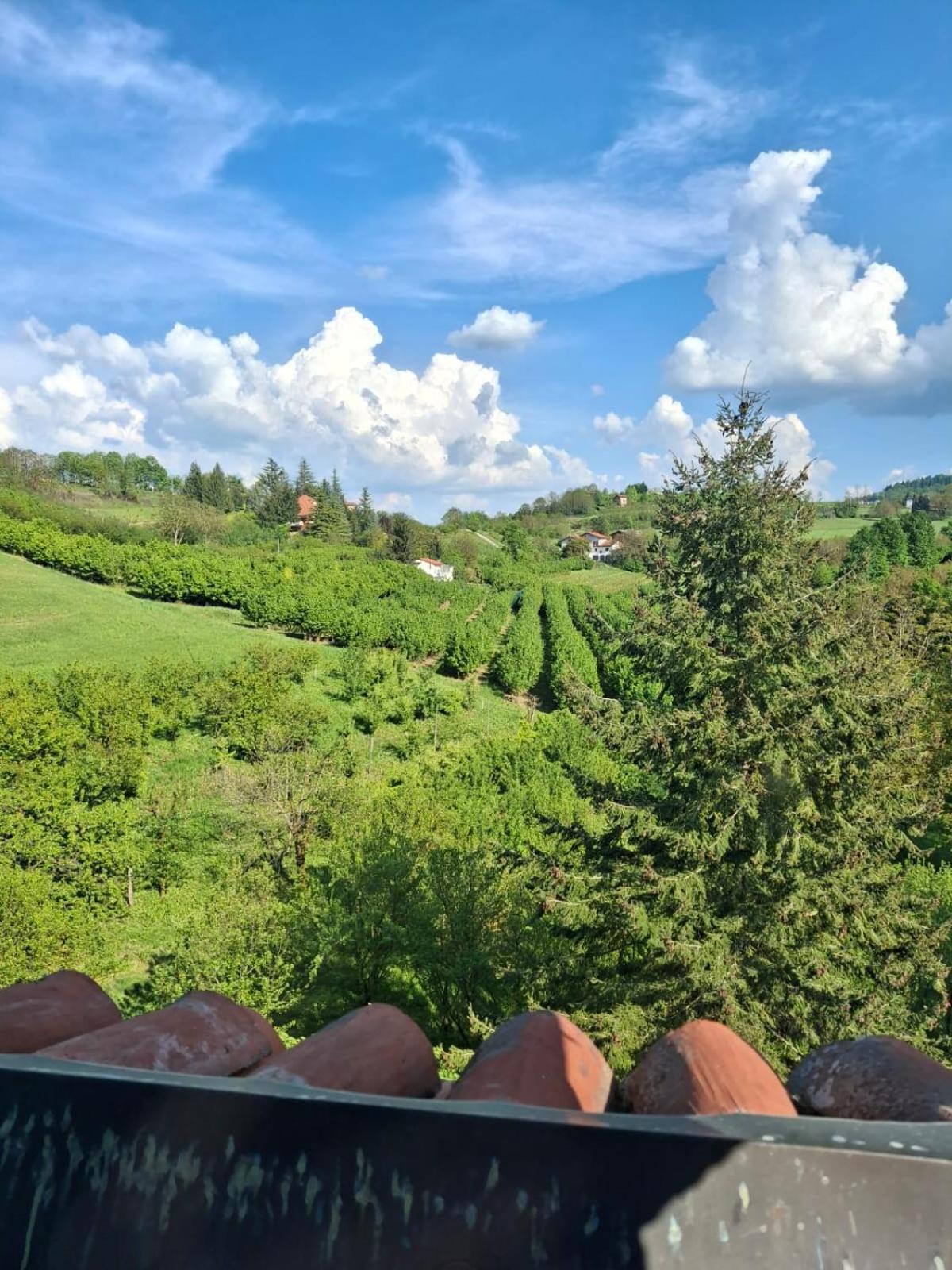 Апартаменты Cascina Bringin Мондови Экстерьер фото